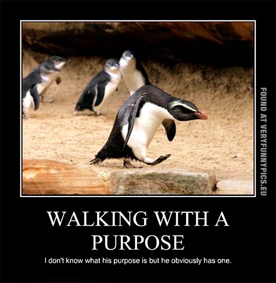 Funny Picture - Walking with a purpose