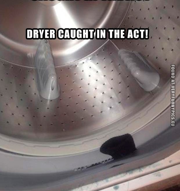 Funny Pictures - Dryer caught in the act!
