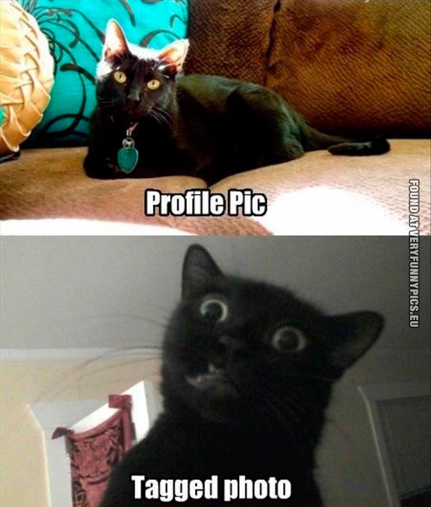 Funny Pictures - Profile pic VS Tagged photo