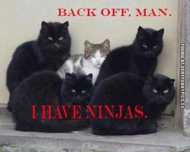 Funny Picture - Back off, man - I have ninjas