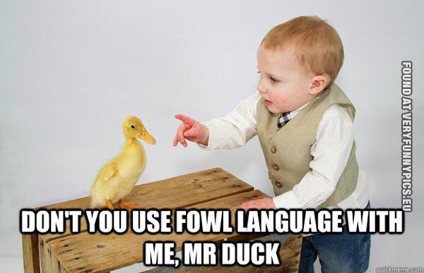 Funny Picture - Don't you use fowl language with me, Mr Duck