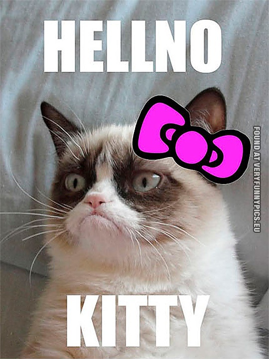 Funny Picture - Hellno Kitty