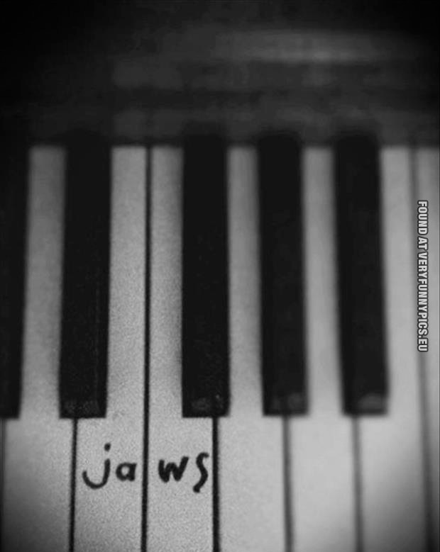 Funny Picture - How to play the Jaws Theme Song