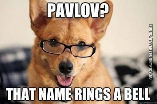 Funny Picture - Pavlog? That name rings a bell