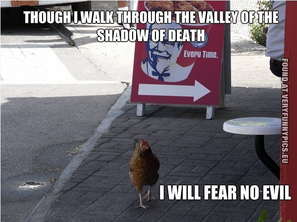 Funny Picture - Though i walk through the valley of the shadow of death i will fear no evil