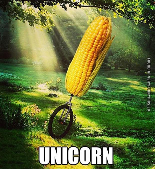 Funny Picture - Unicorn - Unicycle and corn cob