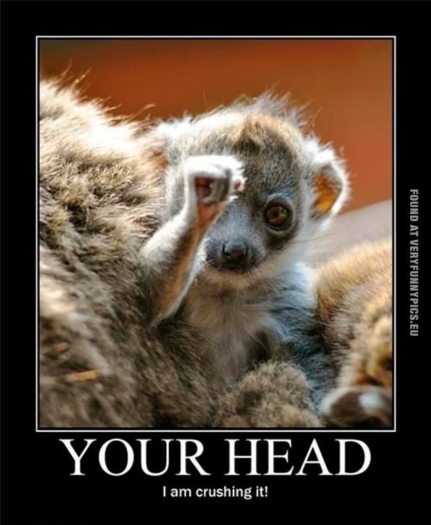Funny Picture - Your head - I am crushing it