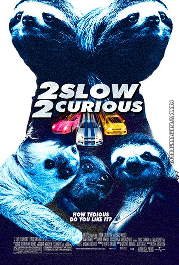 Funny Pictures - 2 Slow 2 Curious - Sloth
