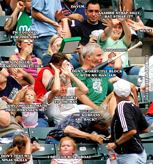 Funny Pictures - Baseball bat landing in a crowd