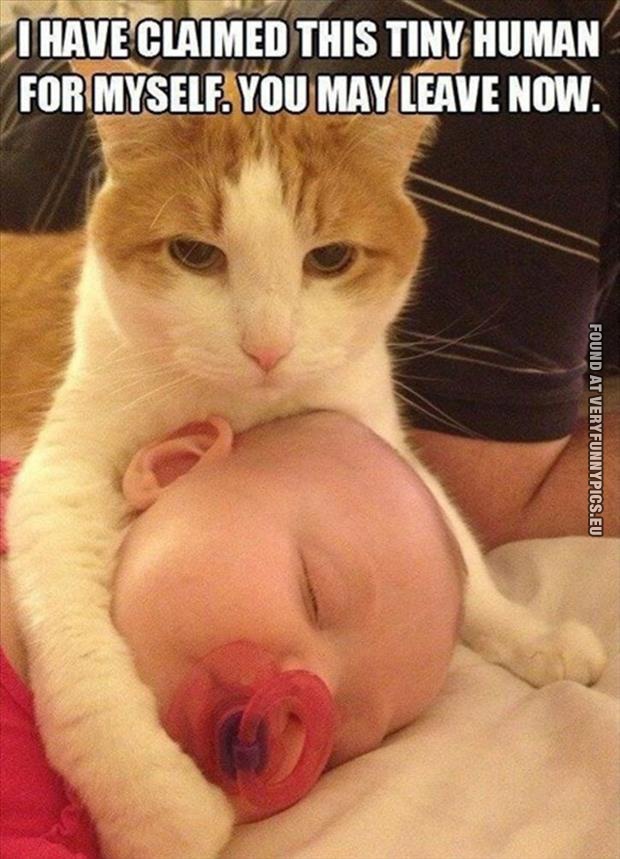 Funny Pictures - Cat hugging baby - I have claimed this tiny human for myself. You may leave now