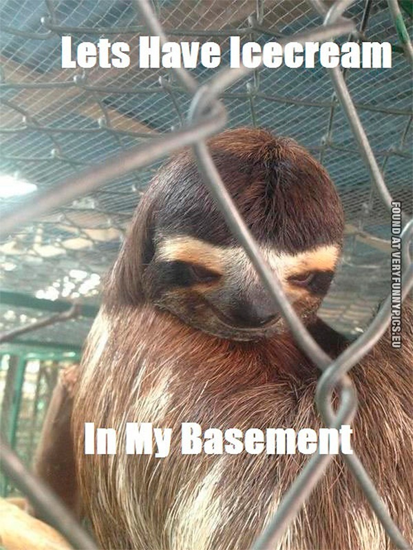Funny Pictures - Creepy sloth - Lets have icecream in my basement