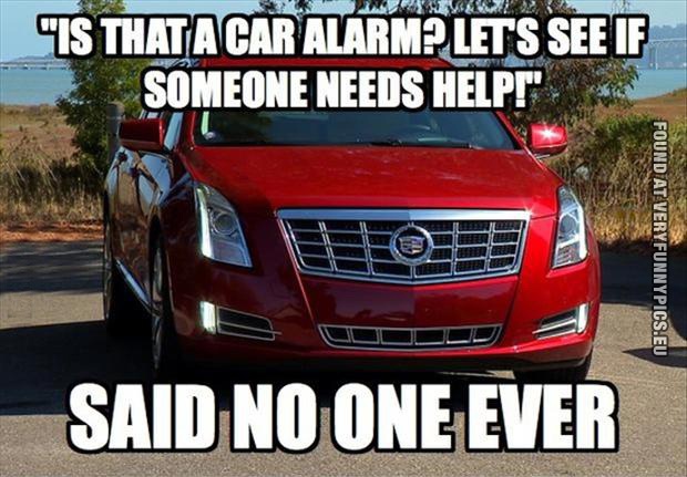 Funny Picture - Car alarm