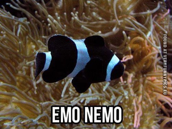 Funny Picture - Emo Nemo