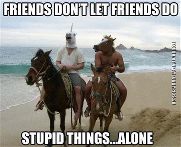 Funny Picture - Friends don't let friends do stupid things alone