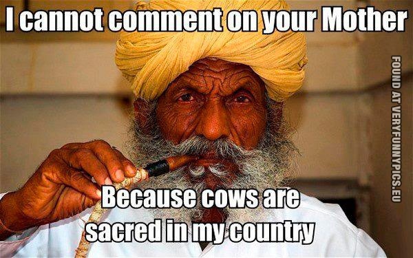 Funny Picture - I cannot comment on your mother because cows are sacred in my country