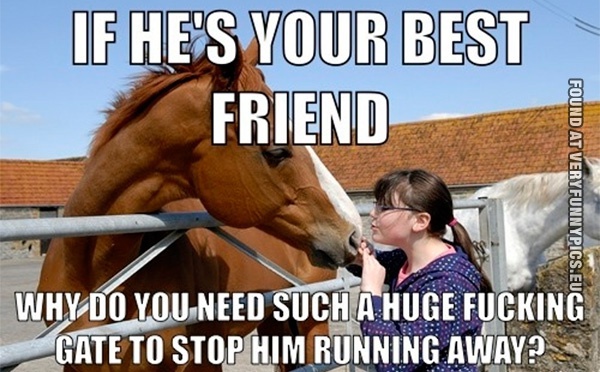 Funny Picture - If he's your best friend - Horse