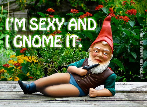 Funny Picture - I'm sexy and i gnome it