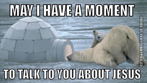 Funny Picture - Jehova polar bear