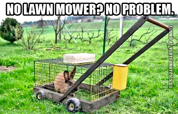 Funny Picture - No lawn mower? No problem