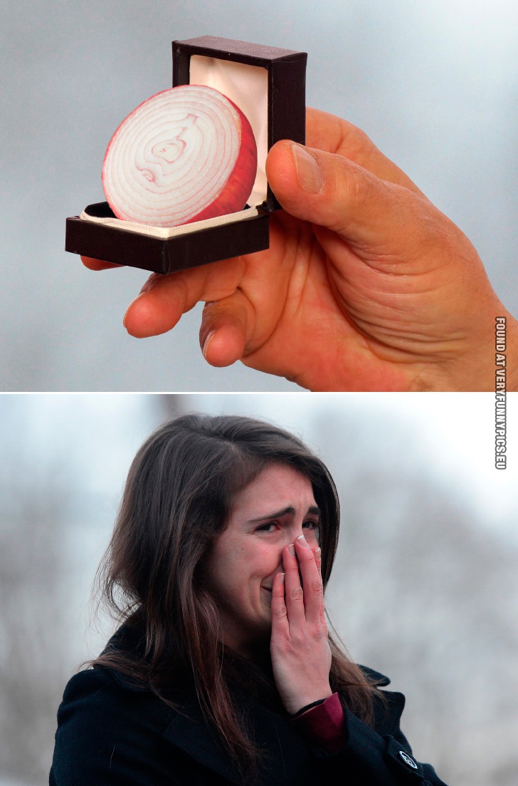 Funny Picture - Onion makes women cry
