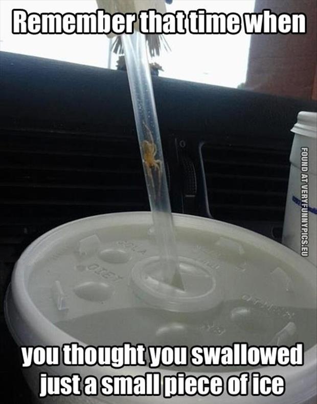 Funny Picture - Remember that time when you thought you swallowed just a small piece of ice