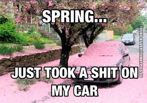 Funny Picture - Spring just took a shit on my car