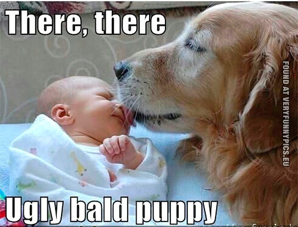 Funny Picture - There, there - Ugly bald puppy - Dog and a baby