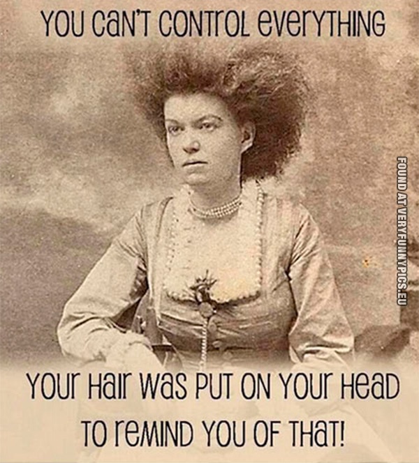 Funny Picture - You can't control everything - Your hair was put on your head to remind you of that