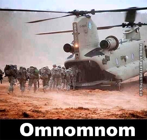 Funny Pictures - Chopper - Omnomnom