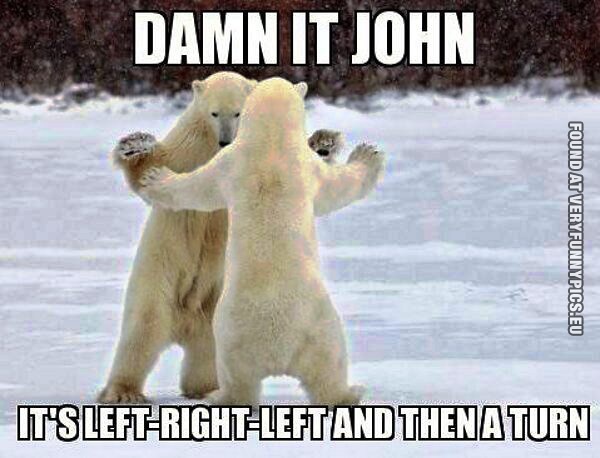 Funny Pictures - Dancing polar bears