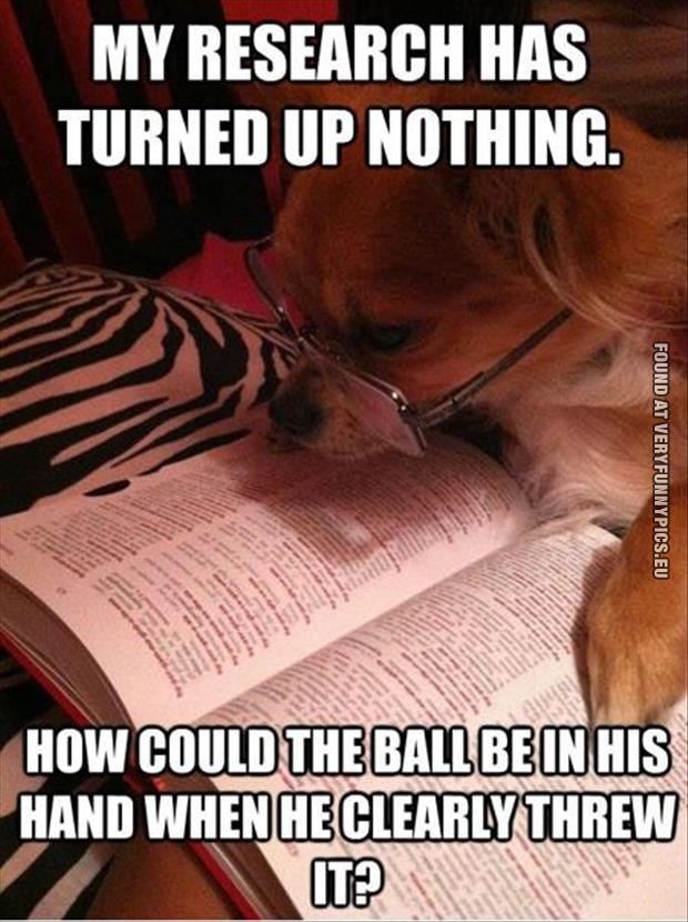 Funny Pictures - Dog chasing balls