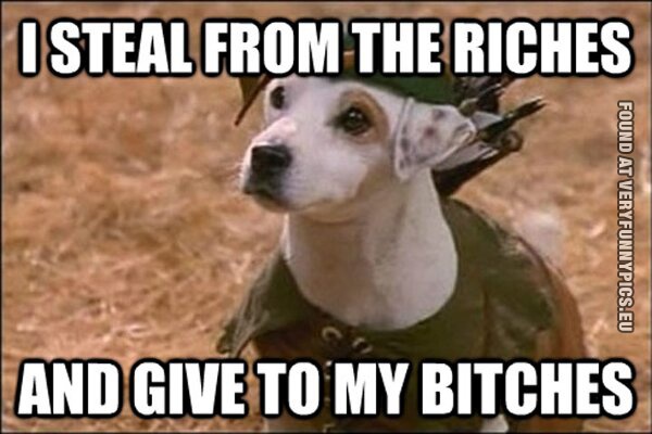 Funny Pictures - I steal from the riches and give to my bitches