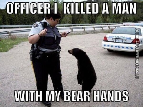 Funny Pictures - Officer, i killed a man with my bear hands