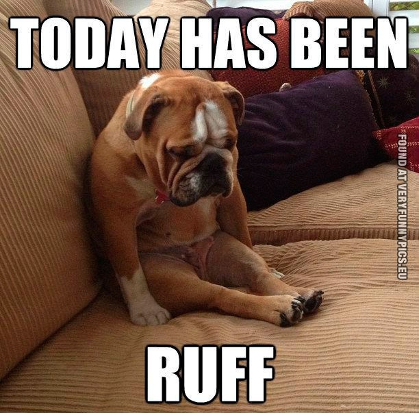 Funny Pictures - Today has been ruff - Dog