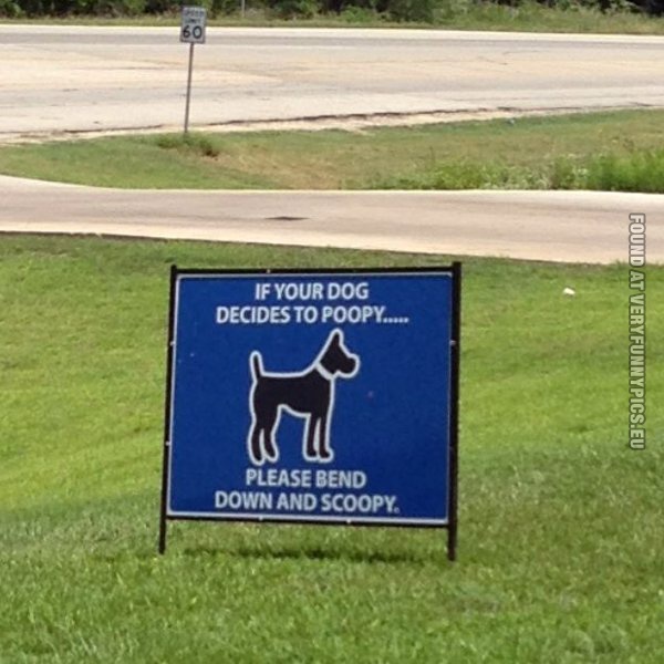 doopy scoopy dog sign