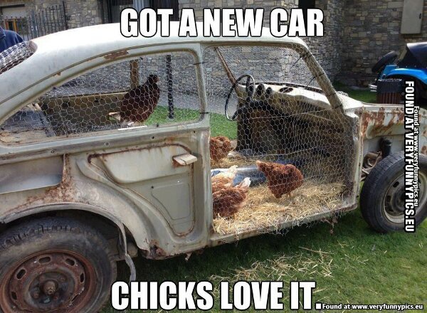 got a new car chicks love it