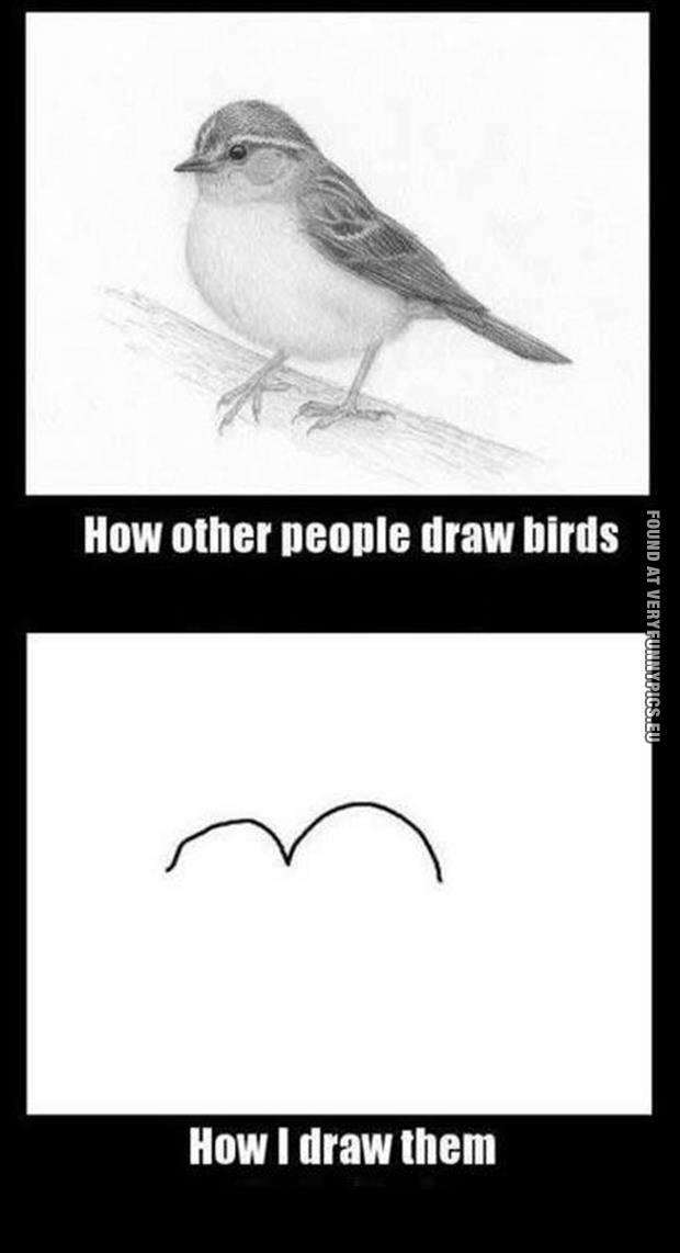 how other people draw birds