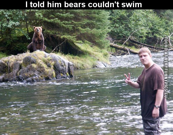 i told him bears couldnt swim