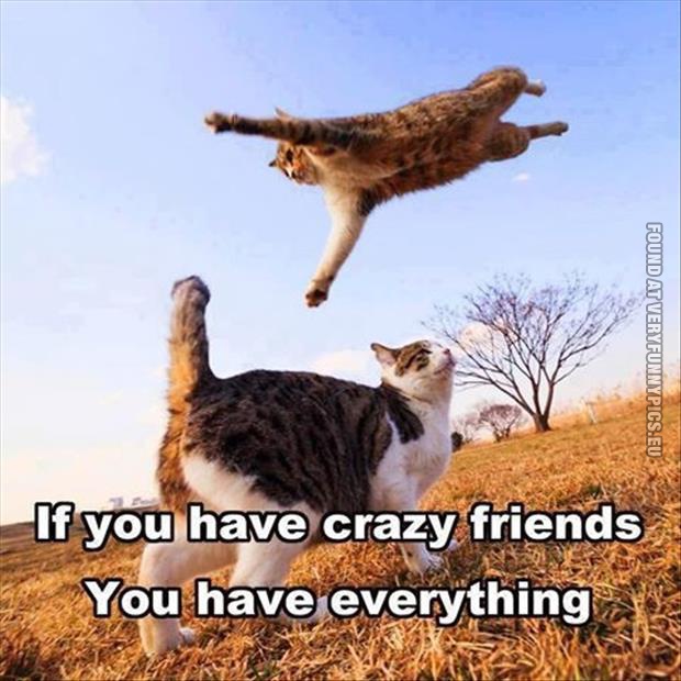 if you have crazy friends