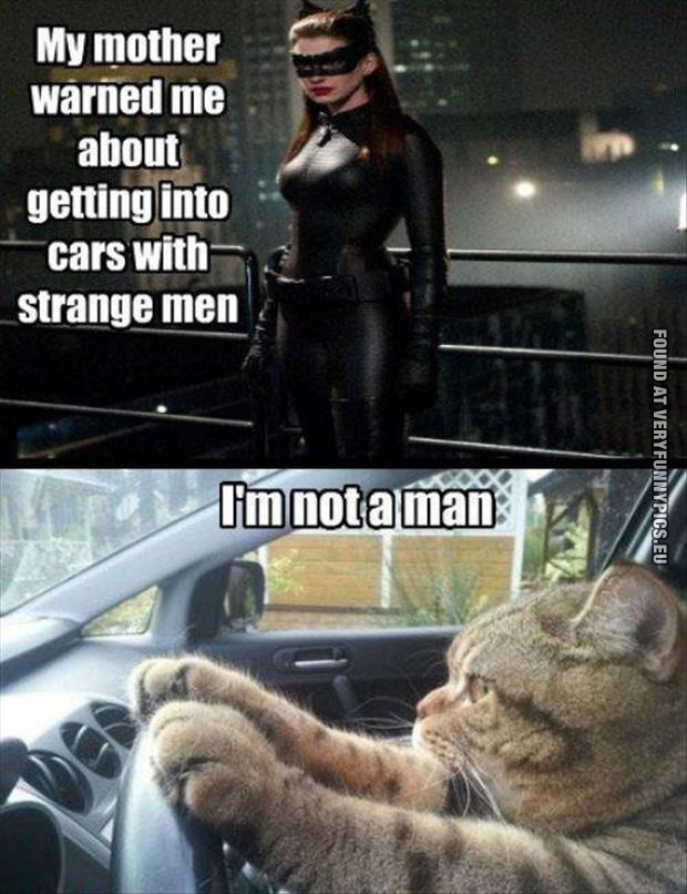 im not a man cat catwoman