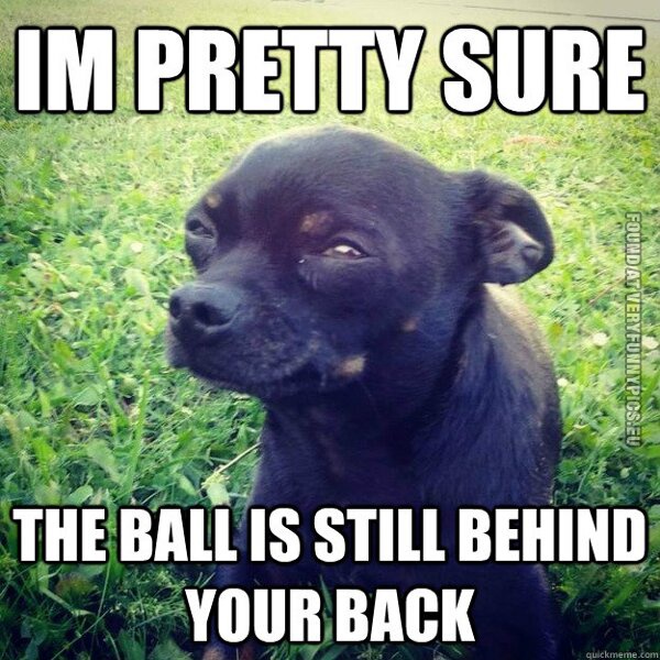 im pretty sure the balls is still behind your back dog