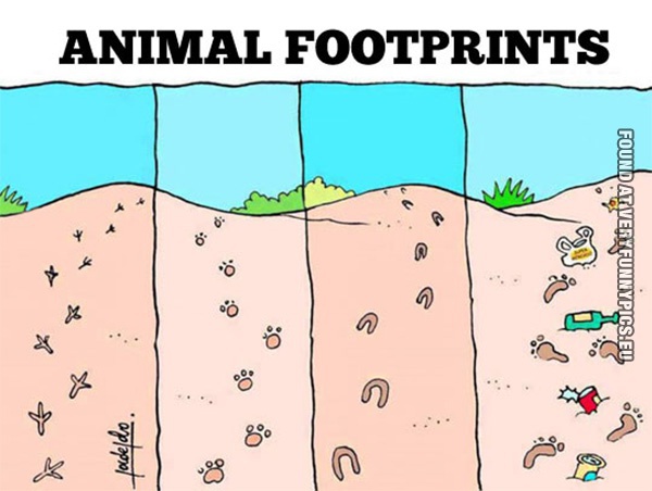 funny-picture-animal-footprints