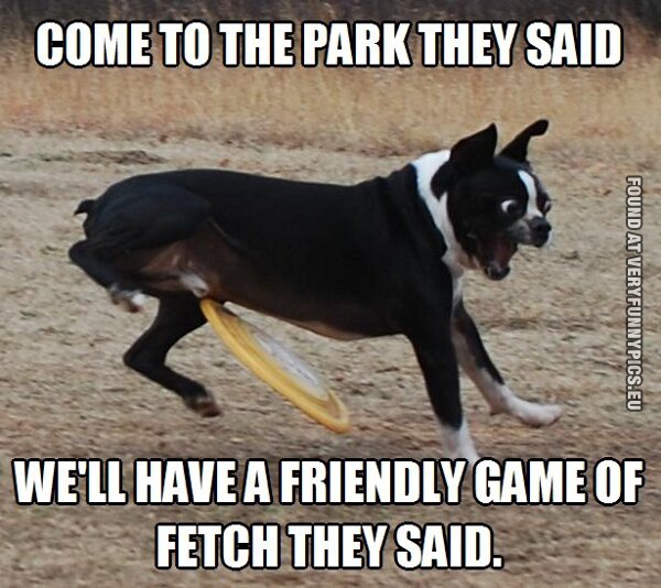 funny picture come to the park they said