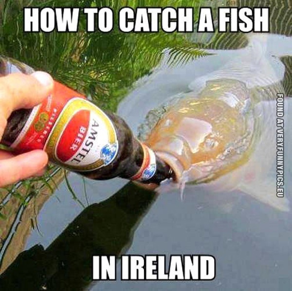 funny-picture-how-to-catch-a-fish-in-ireland