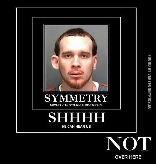 funny-picture-symmetry