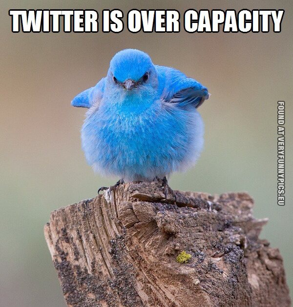 funny picture twitter is over capacity