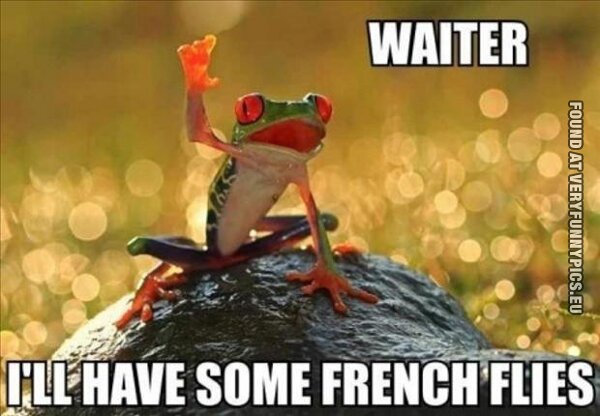 funny picture waiter ill have som french flies
