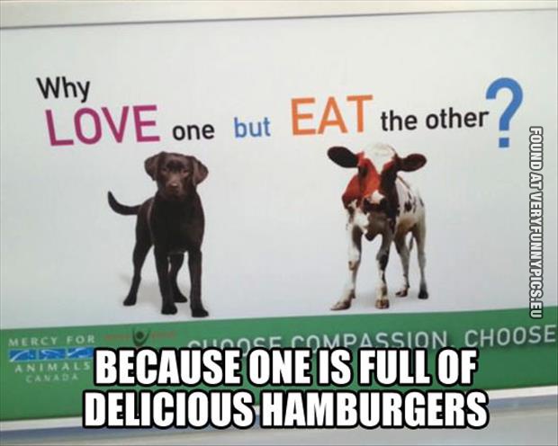 funny picture why love one and eat another