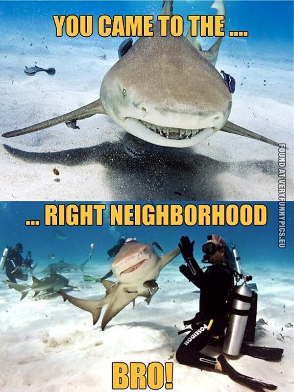 funny picture you came to the right neighbourhood bro
