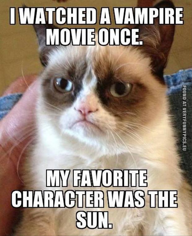 funny cat pics grumpy watched a vampire movie